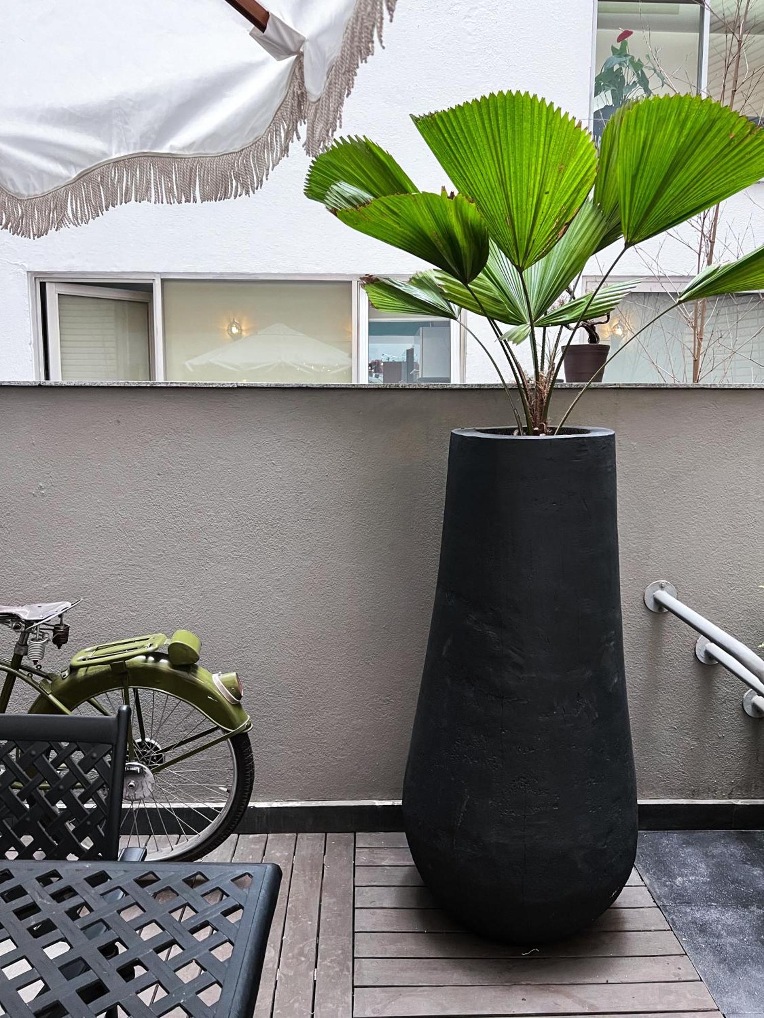 Park Condesa Appartement