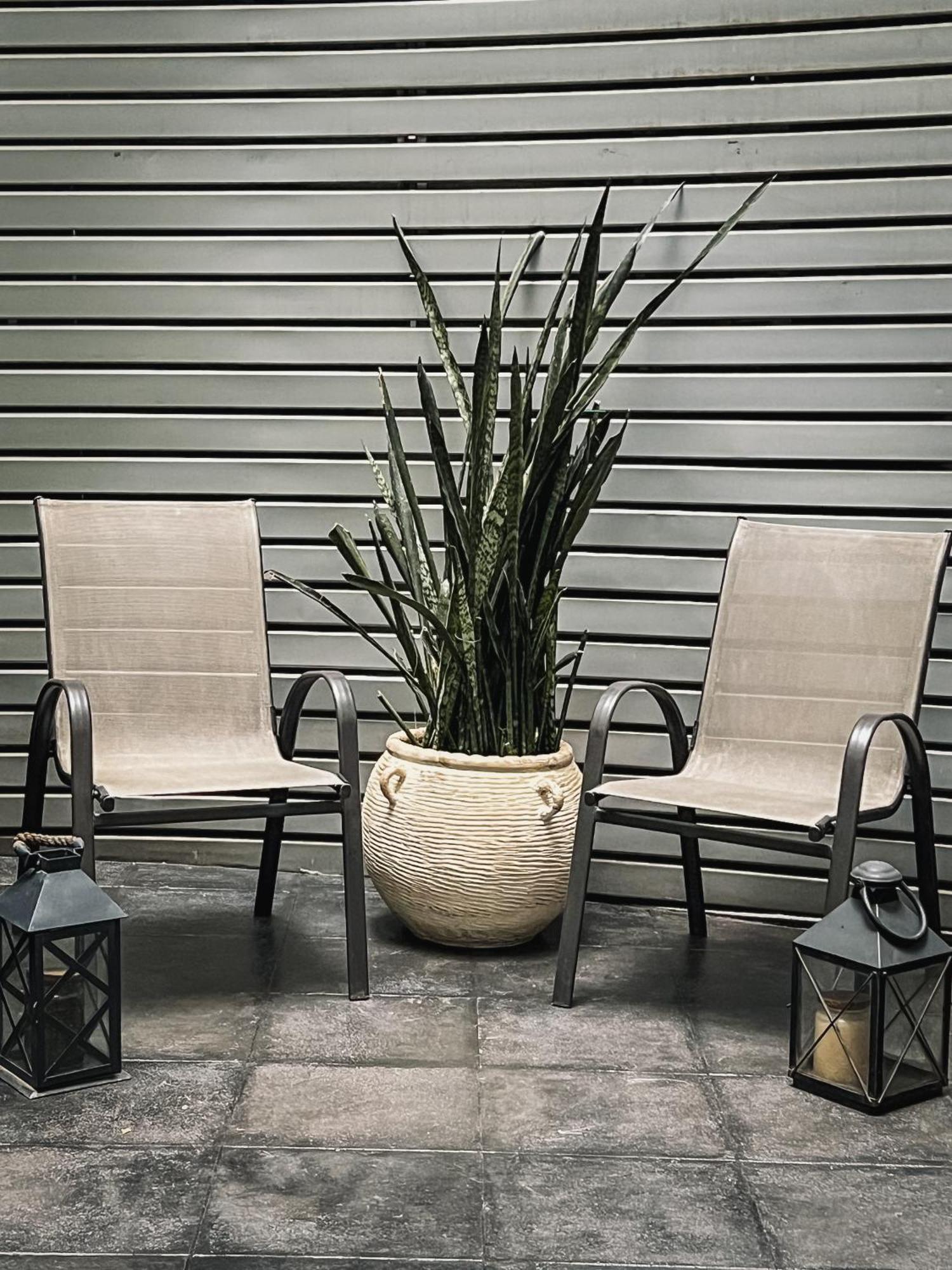 Appartement Park Condesa